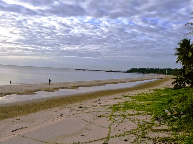 อย่าพลาดดีลเด็ดโปรดี ขายที่ดินริมหาดสะพลีทรายขาวน้ำใสคราม สวยงามวิวทะเลธรรมชาติสุดสุด ปะทิวใกล้หาดสวยทุ่งวัวแล่น  