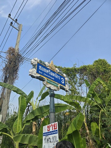พื้นที่ดิน - ราคา - สุดคุ้ม ใกล้สถานที่ราชการ โรงพยาบาล โรงเรียน