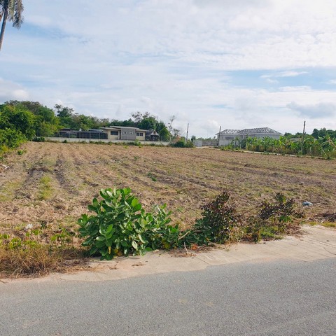 ขายที่ดิน  2 ไร่  ทุ่งละหาน ห้วยใหญ่ พัทยา   บางละมุง   ติดถนน 2 ด้าน  