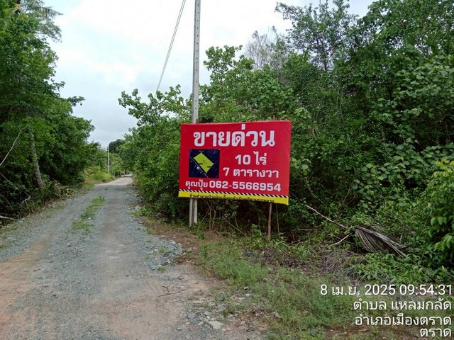 ขายที่ตราด ที่เปล่าแหลมกลัด ที่ใกล้ทะเลติดคลองสนห่างจากทะเล100เมตรผังเมืองสีเขียวต.แหลมกลัด อ.เมืองตราด จ.ตราด