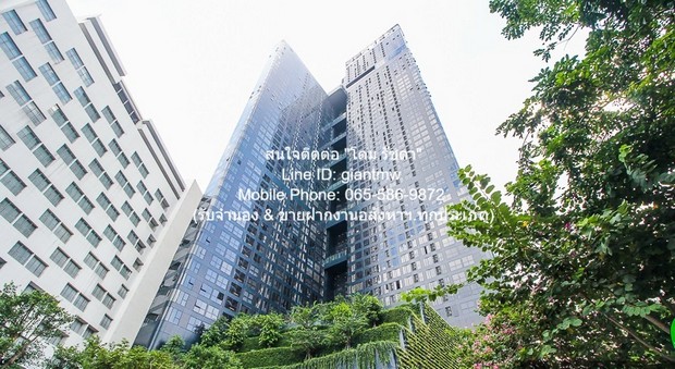 condo. แอชตัน จุฬา-สีลม ashton chula - silom 28000 THB 1 ห้องนอน พื้นที่เท่ากับ 34 sq.m.   FOR SALE!!