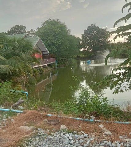 ให้เช่าบ้านชั้นเดียว เล่นระดับ 50ตรว. วิวบ่อปลา อยู่อ.บางเลน นครปฐม ใกล้วัดเกาะแรต