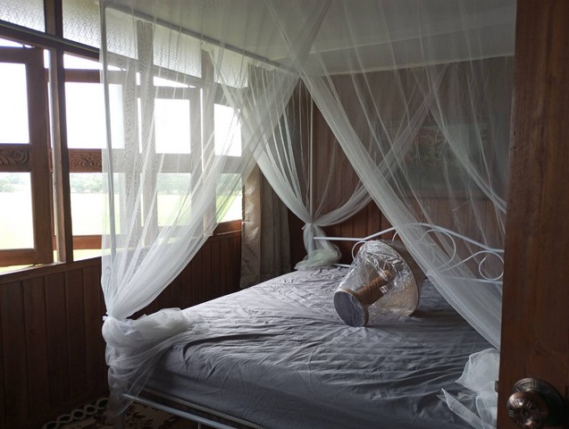 โปรดีกลางปี68พร้อมแล้ว ให้เช่าบ้านไม้ถ่ายหนังถ่ายละคร MV โฆษณา หนังสั้น คอนเท้นท์ บ้านสวยวิวทุ่งนา ไทรน้อย 0968821857