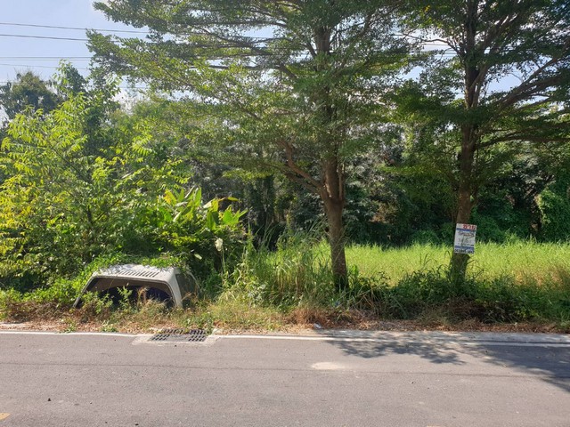 พื้นที่ดิน - 1000000 THAI BAHT  area 0 RAI 0 ngan 10 ตร.ว.   สะดวกต่อการเดินทาง
